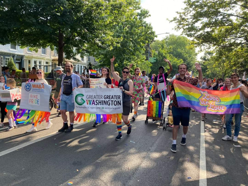 People marching with rainbow banners under a sunny sky on a road lined with large trees.